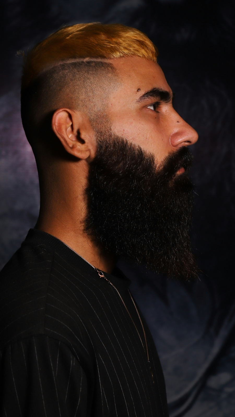Barba (6)