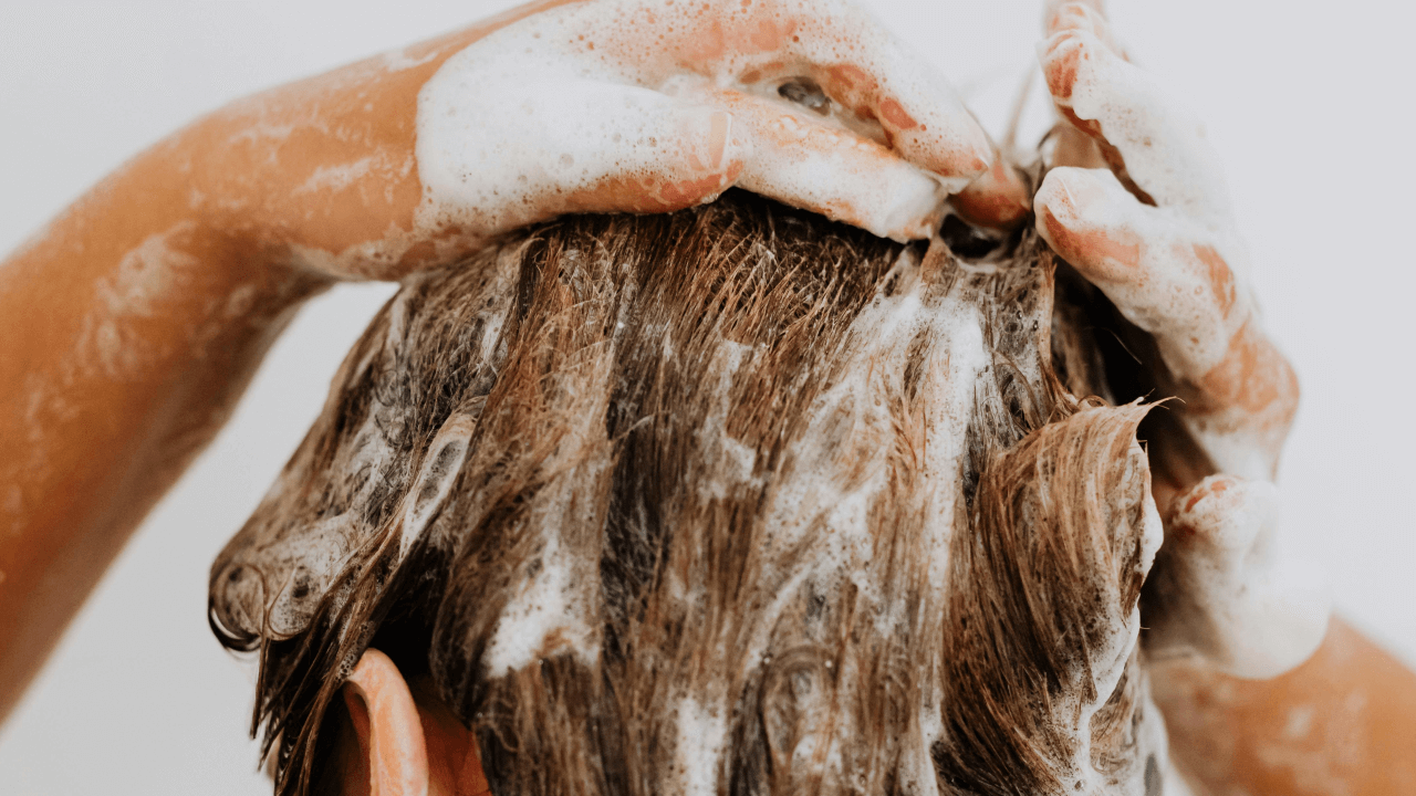 shampoo refrescante icefusion 03