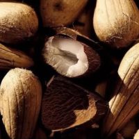oleo - de argan - mantega de murumuru (1)